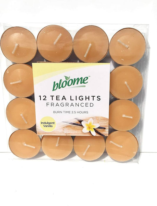 Bloome Vanilla  Glass Candle