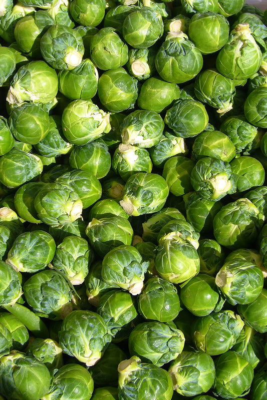 BRUSSELS SPROUTS