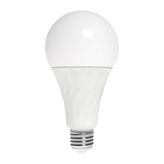 BULBS